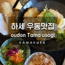오우동 | #🇯🇵Tokyo.하세의 새로운 우동 맛집 명소 Kamakura oudon Tama usagi