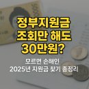 정부지원금 조회만 해도 30만원? 모르면 손해인 2025년 지원금 찾기 총정리