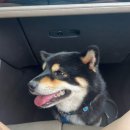 서일동물병원 이미지