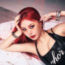 수진글로벌 이미지