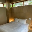 스테이 니와 이미지