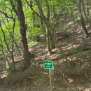 군중길 37 삼거리 | [🚩100대 명산 02] 김천 황악산 최단 등산 코스, 소요시간, 주차장, 화장실, 여름 등산, 8월 날씨 산행후기