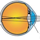 LS안경원 이미지