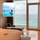 호텔인피니 | 강릉 겨울여행 호캉스 씨마크 호텔 인피니풀 온수풀수영장 오션뷰 숙소 후기