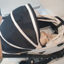 소노펫 뷰티 이미지