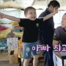 성진농장2 이미지
