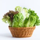 어울리지 이미지