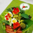 단식농장 이미지