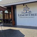 18일차(2026.1.29.목)도이사켓 온천, Lemontree Garden&amp;Restaurant 이미지