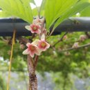 서석농장 이미지