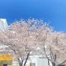 (주)서서울공업사 | [공지] 색다른 전시 데이트 서서울미술관 무료 전시 운영시간 주차 안내