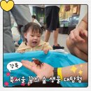 가볼만한 곳｜20개월 아기와 북서울 꿈의숲 생물 대탐험, 유아놀이터, 피크닉 후기, 주차, 예약 방법 공유