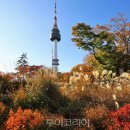 북부순환도로L 이미지