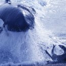 고래이야기 이미지