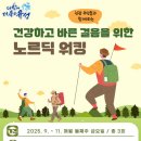 노르딕
