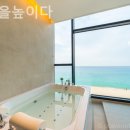 안목을높이다 이미지