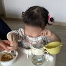 ㈜미소환경 | 베베쿡 올특찬 아기 반찬 추천! 저염식 돌아기 볶음밥과 아기국 후기
