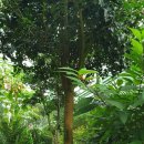 완도21호 이미지