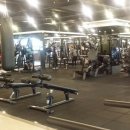 헬로우PT 이미지