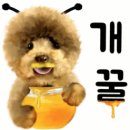 커피쟁이 - 창원시 진해구 중원동로 29 | 커피쟁이