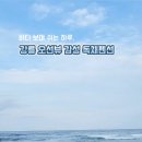 테라머뭄 이미지