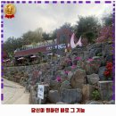 솔카페 이미지