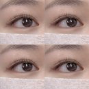 비비드 속눈썹 | 병점속눈썹연장 직접 받아본 후기, 비비드쥬 만족한 이유