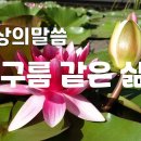 뜬구름 같은 삶 ( 명상의말씀 ) ( 대사 : 엄주환 ) // ♤ 밤사이 단비 ♤ 이미지