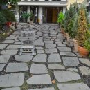 성남축산 | [울산/성남] 유럽느낌의 야외테라스가있는 샬로우커피 내돈내산 후기