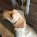 포포앤미루 강동점 이미지