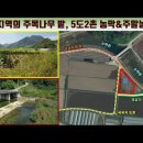 영월부동산공인중개사사무소 이미지