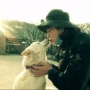 해경목장 이미지