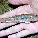 독립-16-05 이미지