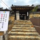 밀양향교 | 2026년 3월 밀양 향교 매화 개화 실시간 만개 현황 방문 후기