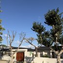 첨성길 | 경주 신상숙소 경쥬르 내돈내산 후기