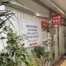 미라클 휘트니스 | 둔산동스포츠경락 미라클힐링 내돈내산 후기