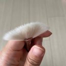 테무 쇼핑 후기 배송기간 추천템 비추템 가격 추천인