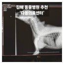 다봄 동물병원 이미지