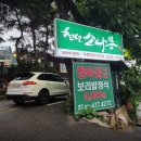 천년소나무정육점