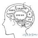 원곡삼성 공인중개사사무소 이미지