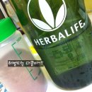 다콩
