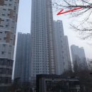 선부고려소아과 이미지