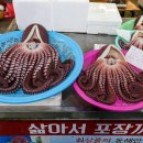 문어상회 이미지