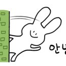 카페수희 이미지