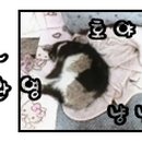 갓터치 이미지