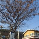 가현경로당 이미지