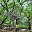 황선욱 화무 이미지