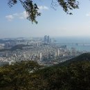 세실맛집 곤드레밥 이미지