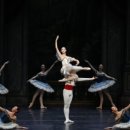 대구경북발레 페스티벌 이미지