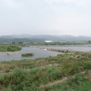 금호강식당 Daum카페